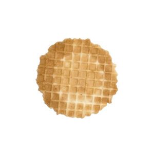 Wafer Discs